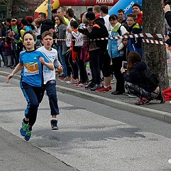 16. Mali kraški maraton 2016