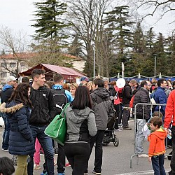 16. Mali kraški maraton 2016