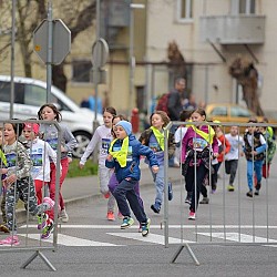 16. Mali kraški maraton 2016