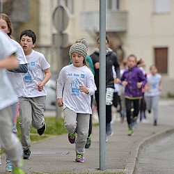 16. Mali kraški maraton 2016